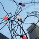 Illustration for article titled Photo Contest: Christmas Lights